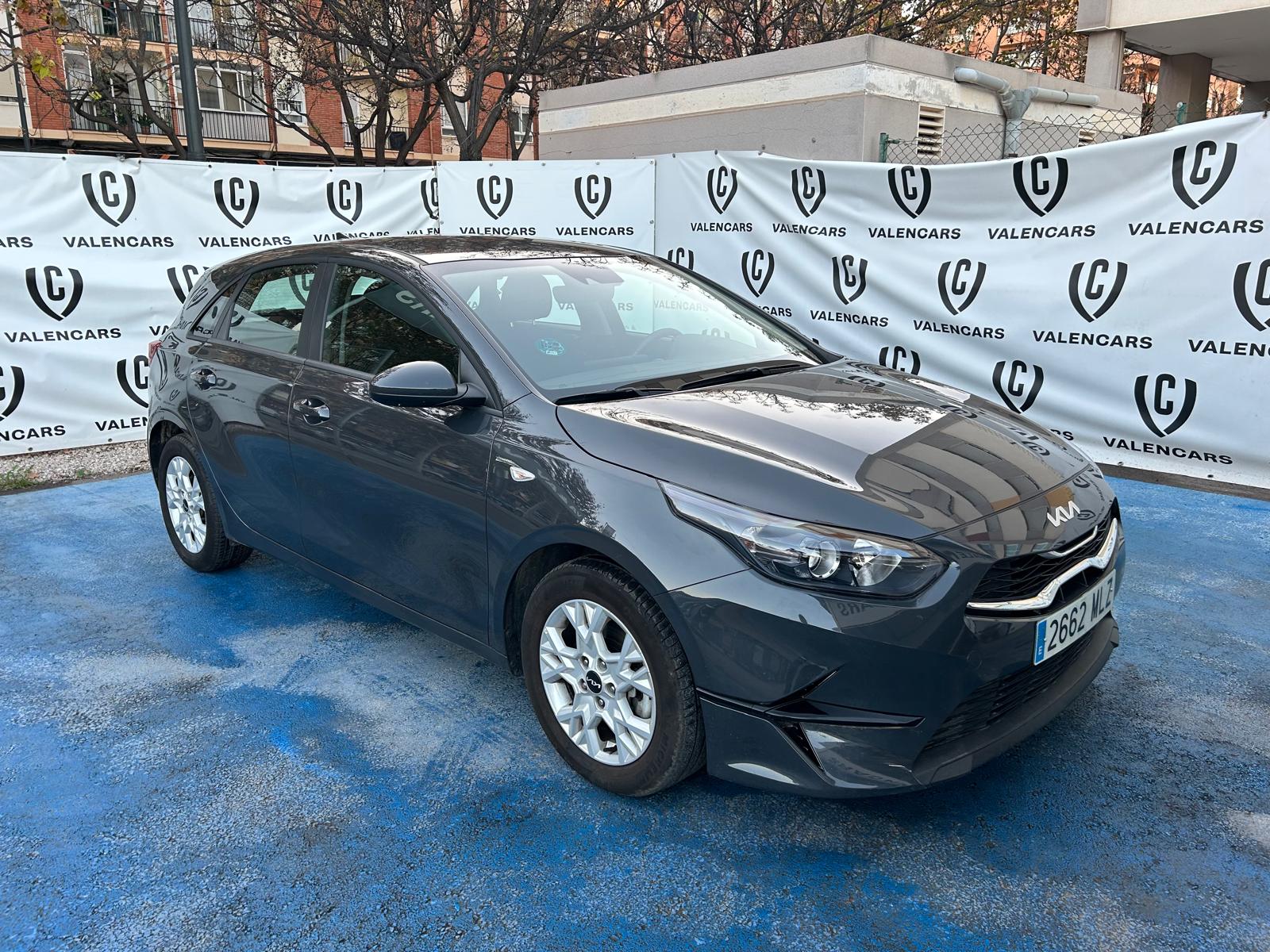Coche 110