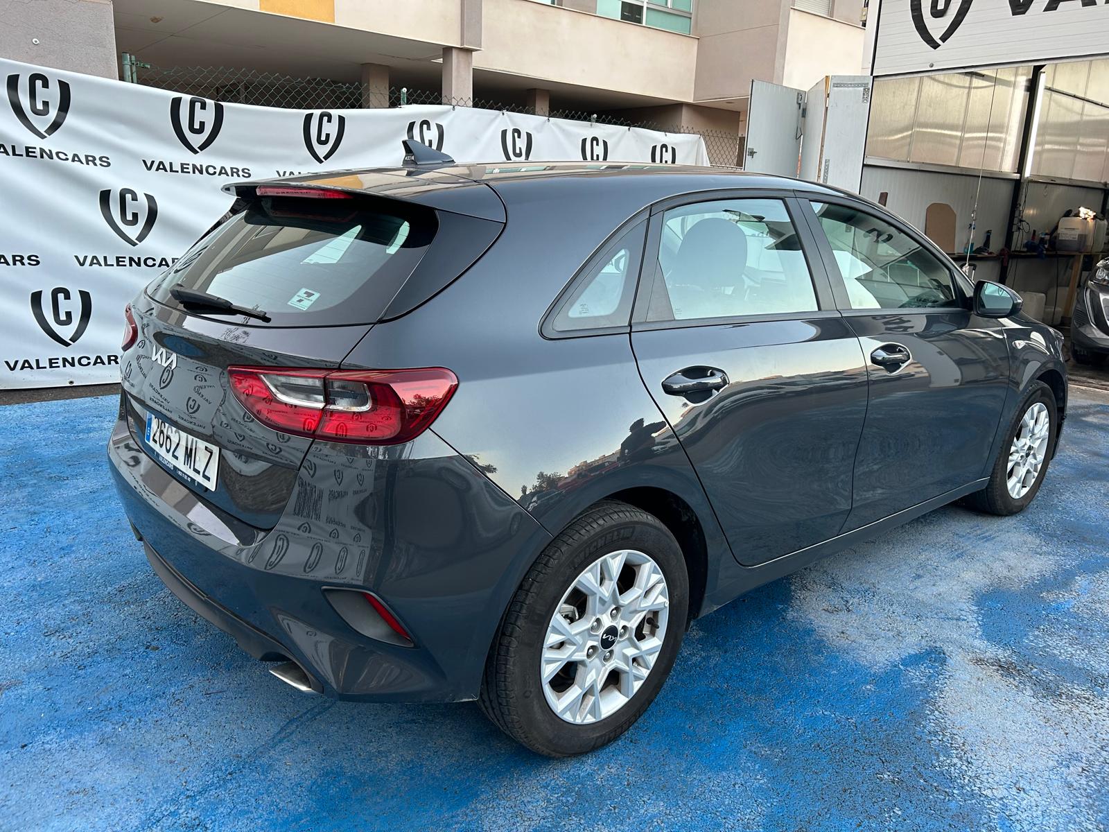Coche 113